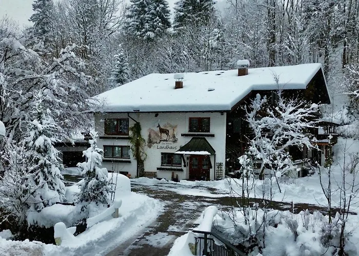 Kleine 1-raum-apartment Pluto