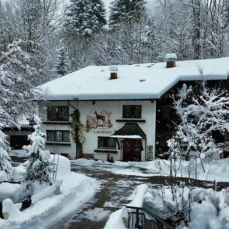 Pluto - Ihre Allgaeu-auszeit Mit Hund